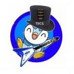 piplup avatar (1st)